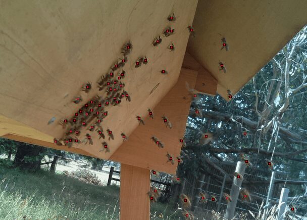 1591171317 888 Compter les abeilles dans une ruche avec un Raspberry Pi