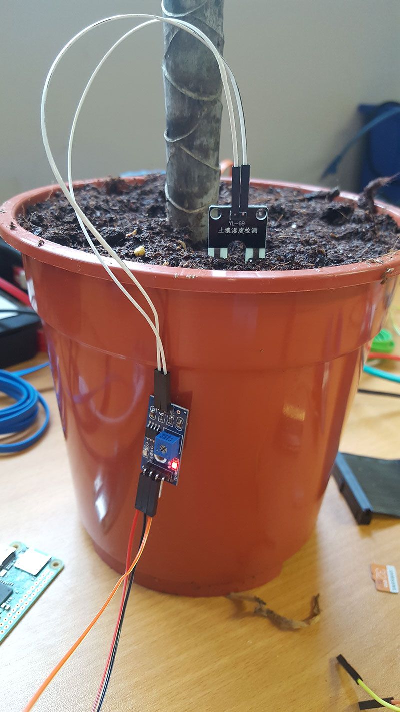 1592278215 453 Capteur dhumidite pour pot de plantes Raspberry Pi avec notification