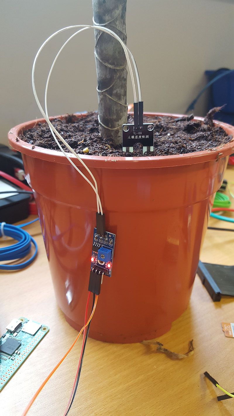 1592278215 519 Capteur dhumidite pour pot de plantes Raspberry Pi avec notification