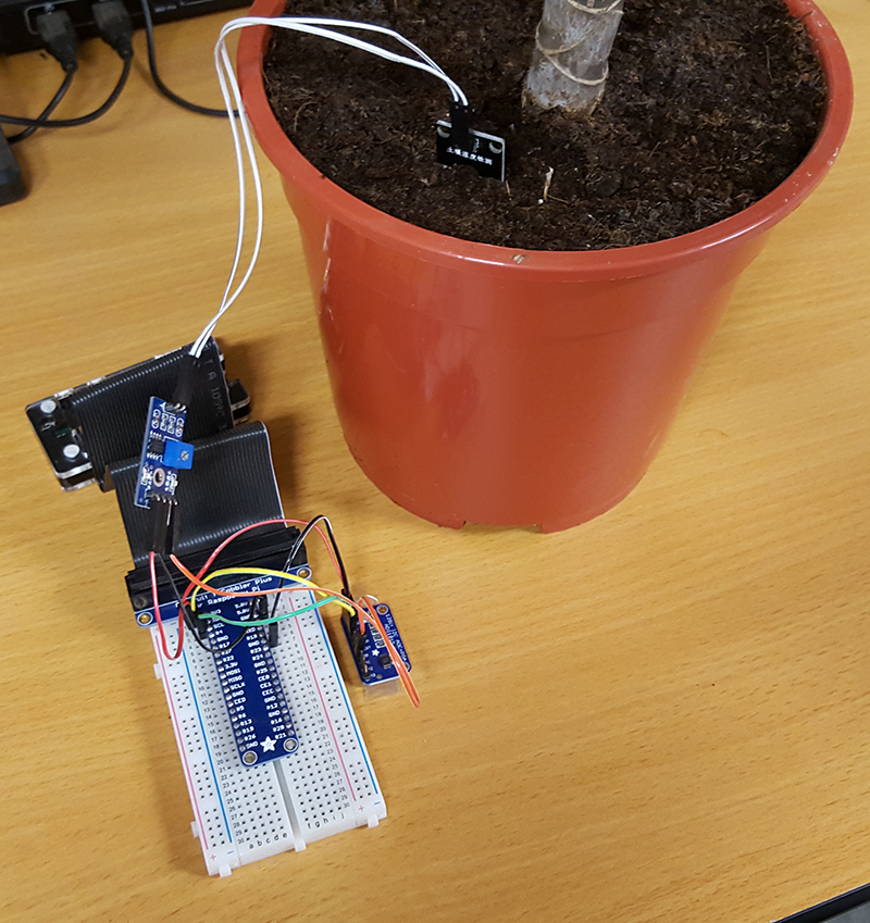 1592283609 791 Capteur dhumidite du pot de plante Raspberry Pi via des