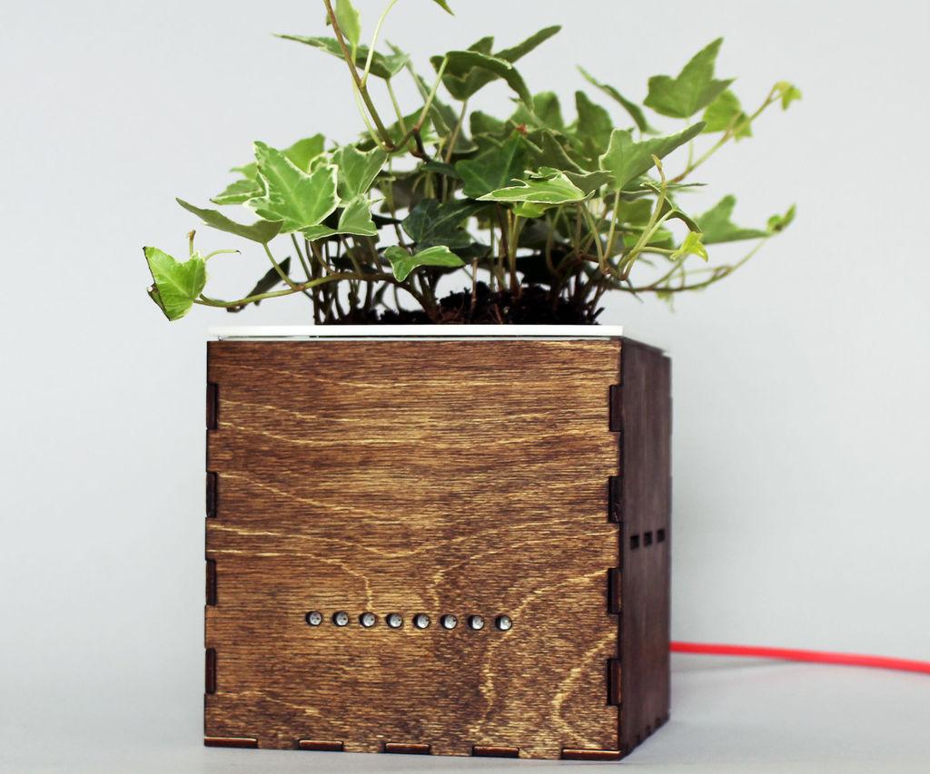 Ce planteur avec personnalite a un capteur de qualite de