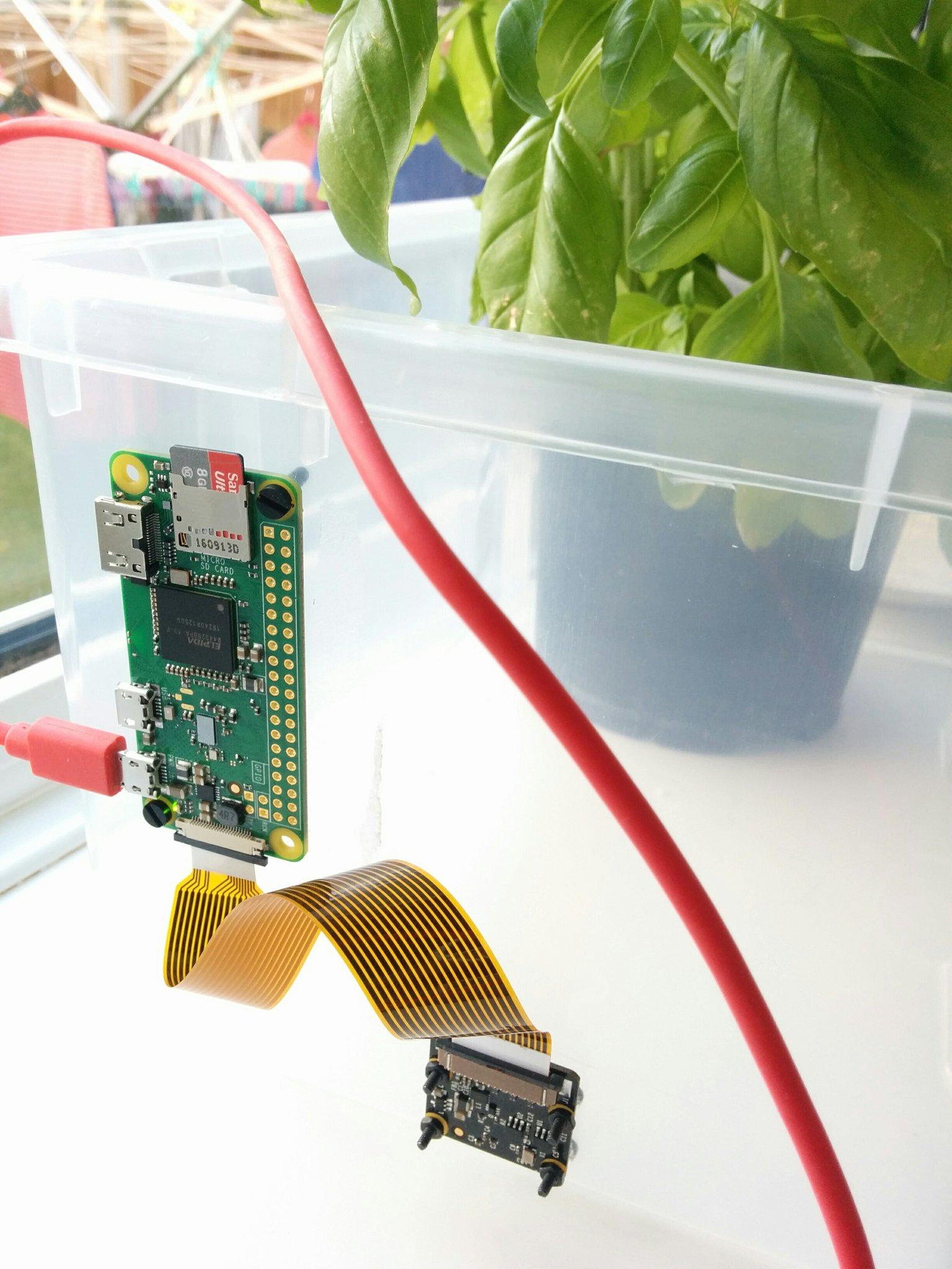Tweetez automatiquement des photos de votre boîte de culture avec un Raspberry Pi