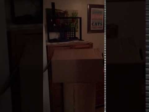 Hi-jinks effrayants d'Halloween avec un masque effrayant à ressort entraîné par un Raspberry Pi