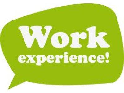 work-experience1
