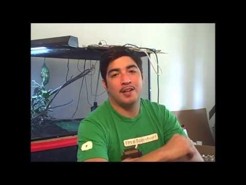 Selfies de lézard avec un Raspberry Pi