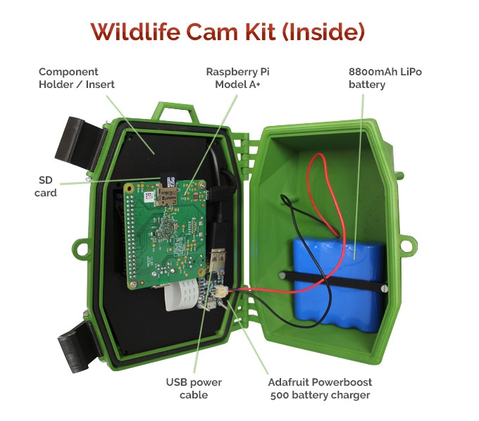 Kit caméra Naturebytes Wildlife - Observez la faune avec le Raspberry Pi 2 1600629305 242 Kit camera Naturebytes Wildlife Observez la faune avec le