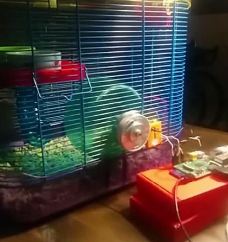 HamsterPi