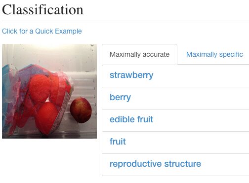 Un réfrigérateur avec un Raspberry Pi commande automatiquement des fruits pour vous