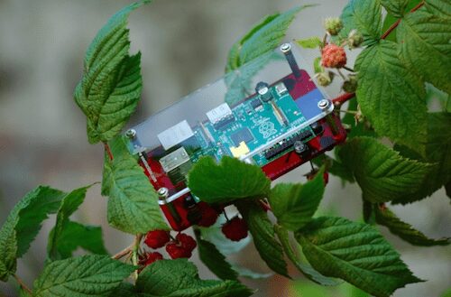 Atelier Raspberry Pi for Artists à New York