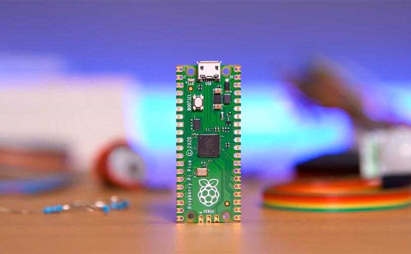 Logo de Raspberry Para Novatos