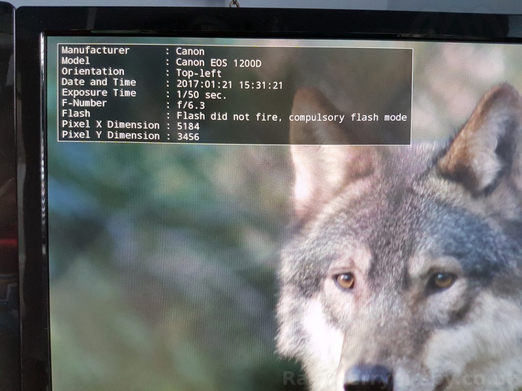 Visionneuse de photos en ligne de commande du FBI