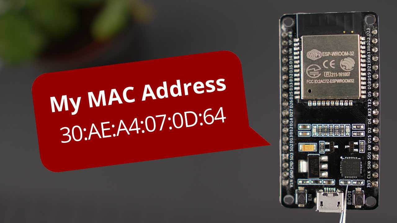 Obtenez l'adresse MAC ESP32/ESP8266 et modifiez-la (Arduino IDE)