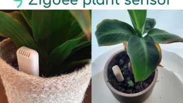 Le capteur de plantes Bluetooth LE de b-parasite prend en charge Zigbee