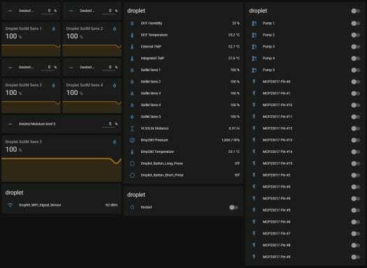 Aide à domicile Irrigation