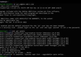 Apt update con los repositorios de microsoft en Raspberry Pi OS