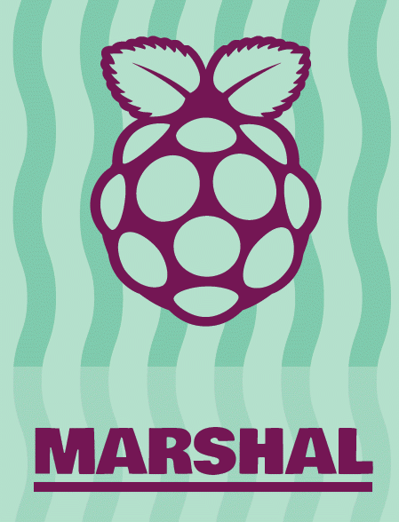 L'histoire du Raspberry Pi Big Birthday Weekend - Raspberry Pi Pod et base micro:bit 4 maréchal