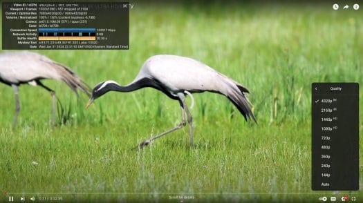 Blackview MP80 Fedora 39 8k p30 chrome