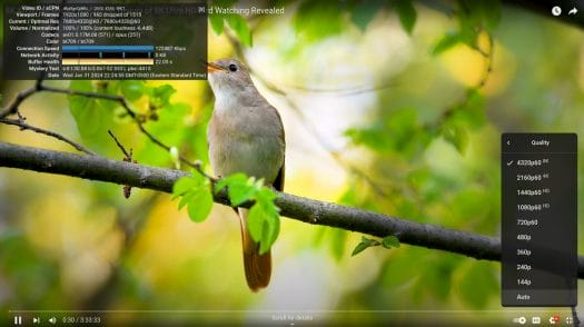 Blackview MP80 Fedora 39 8k p60 chrome