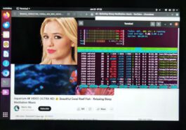 Revue ODROID-M1S - Partie 2 : benchmarks et tests de fonctionnalités Ubuntu 20.04