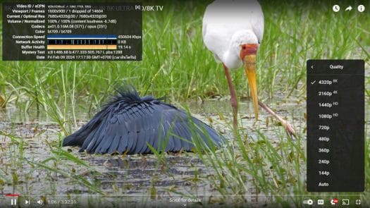 Beelink Mini PC 8kp30 youtube Windows 11 Beelink Mini PC 8kp30 youtube Windows 11