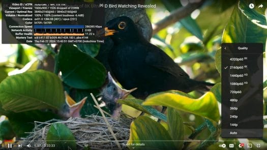 Processeur Intel N100 sans ventilateur mini PC Youtube 4K 60fps Windows 11