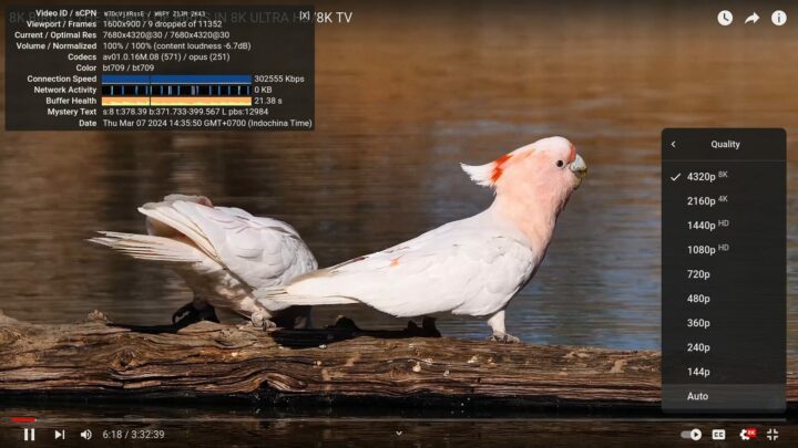 Mini PC N100 sans ventilateur Firefox Ubuntu 8k p30 YouTube