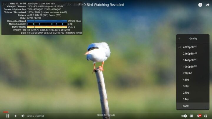 Mini PC N100 sans ventilateur Firefox Ubuntu 8k 60fps YouTube