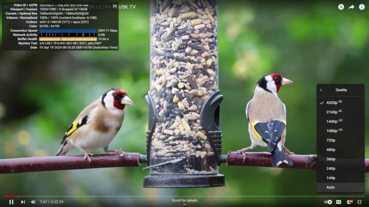 youtube 8k p30 GEEKOM XT12 Pro chrome windows11 youtube 8k p30 GEEKOM XT12 Pro chrome windows11