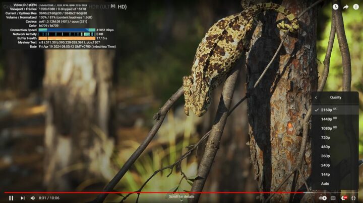 youtube 4k p30 GEEKOM XT12 Pro chrome windows11 youtube 4k p30 GEEKOM XT12 Pro chrome windows11