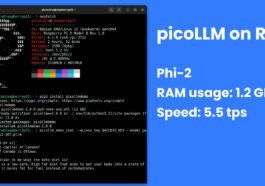 picoLLM Raspberry Pi 5