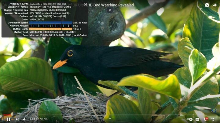 GEEKOM A8 Windows 11 YouTube 8K 60 FPS GEEKOM A8 Windows 11 YouTube 8K 60 FPS