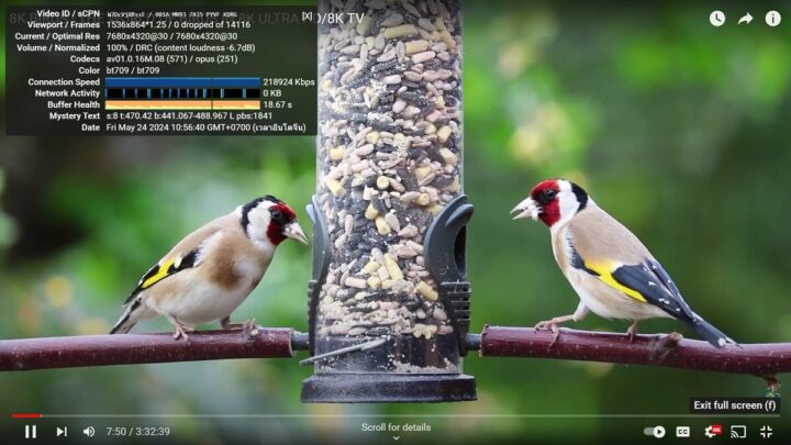 GEEKOM A8 Windows 11 YouTube 8K 30 FPS GEEKOM A8 Windows 11 YouTube 8K 30 FPS