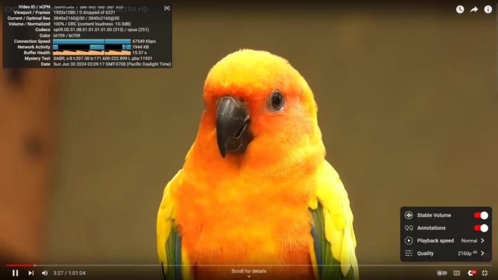 2160p30 4K YouTube Firefox Core i9-12900E NVIDIA HDMI