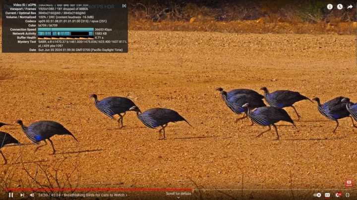 2160p60 4K YouTube Firefox Core i9-12900E NVIDIA HDMI