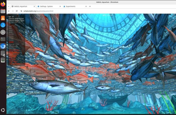 LattePanda pour Ubuntu 24.04 chrome webgl LattePanda pour Ubuntu 24.04 chrome webgl