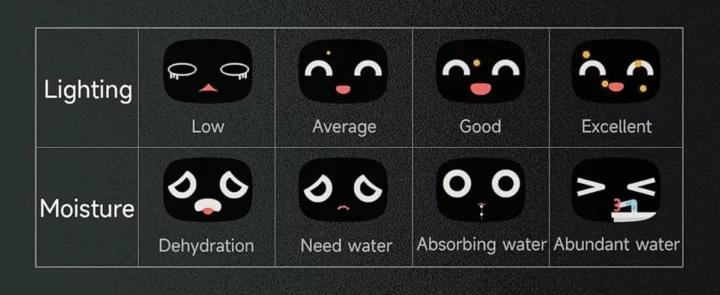 Affichage des faces du pot de fleurs intelligent Tuya Ivy Affichage des faces du pot de fleurs intelligent Tuya Ivy