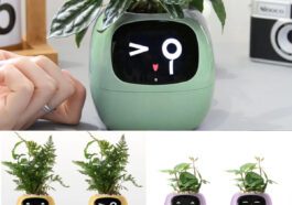 Tuya Ivy Smart Flower Pot