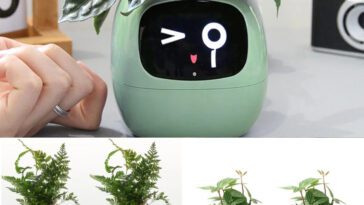 Tuya Ivy Smart Flower Pot