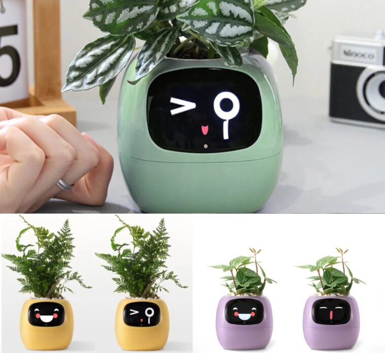 Le pot de fleurs intelligent Tuya Ivy surveille les sentiments intérieurs de votre plante 1 Tuya Ivy Smart Flower Pot