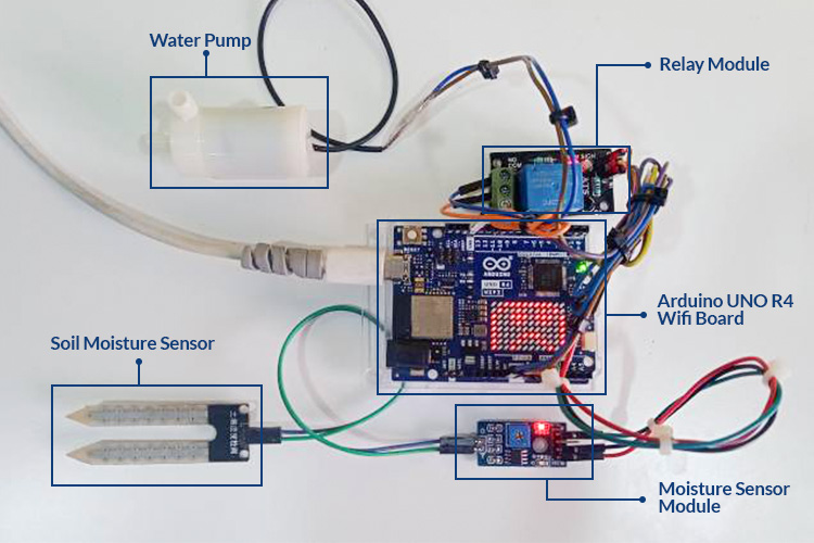 Construisez Un Syst me D arrosage Automatique Simple Pour Les Plantes 