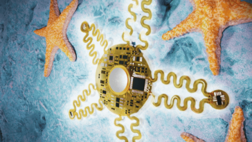 Starfish-Inspired AI Heart Monitor