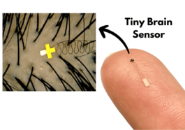 Tiny Brain Sensor that Fits Between Hair Strands