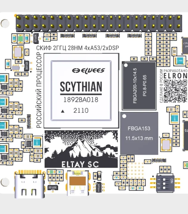 Elvees Scythian Russian Arm Soc