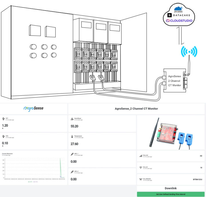 Diagramme de connexion Agrosense Aglw2ct avec des pinces CT