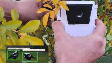 Edge AI Wildlife Detection Using Raspberry Pi Zero