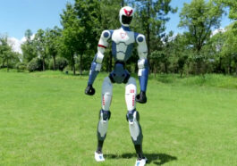 low-cost humanoid robot