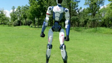 low-cost humanoid robot