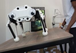 CARA: Rope-Driven Robot Dog Without Gears