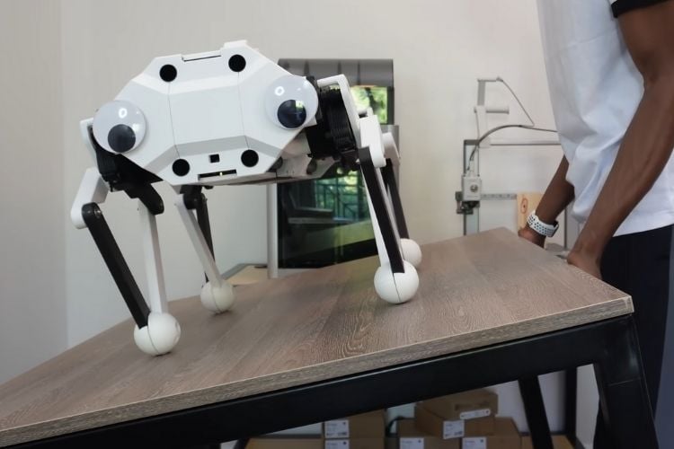 CARA: Rope-Driven Robot Dog Without Gears