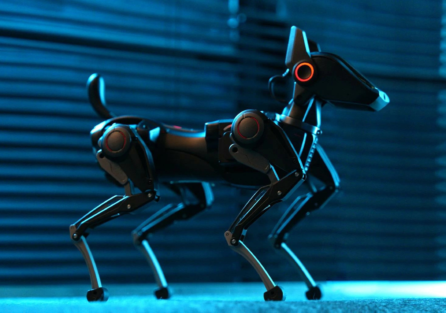 Henbot Sirius trainable AI robot dog